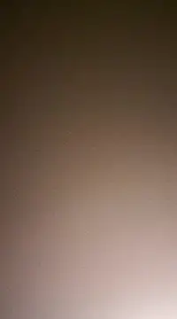 NewKing100 online show from 12.02.24