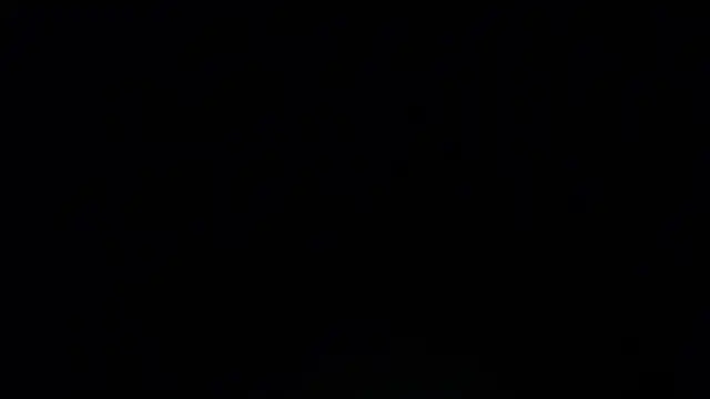  applepie online show from 03.07.25