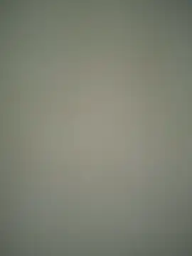 Snapshot of ScarletVelvetX chatting on 02.22.26 ScarletVelvetX online show from 02.22.26