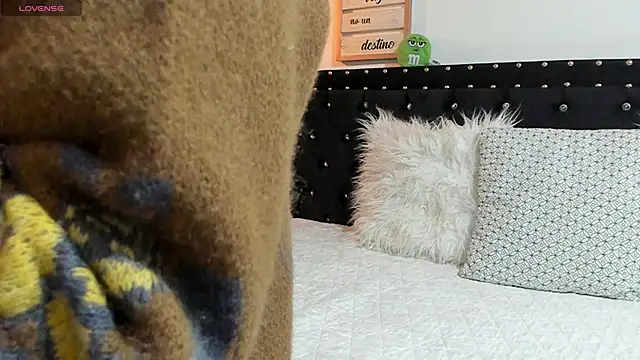 meow mota online show from 01.06.25