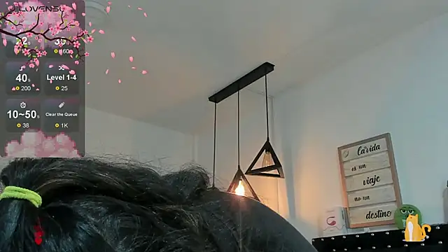 meow mota online show from 01.14.25