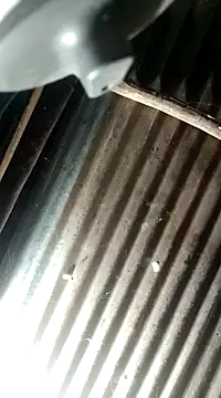 Snapshot of Huebolocko chatting on 12.04.24 Huebolocko online show from 12.04.24