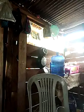 Snapshot of Huebolocko chatting on 01.01.25 Huebolocko online show from 01.01.25