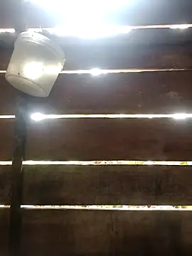 Snapshot of Huebolocko chatting on 01.06.25 Huebolocko online show from 01.06.25