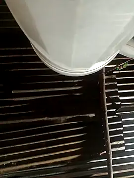 Snapshot of Huebolocko chatting on 02.10.25 Huebolocko online show from 02.10.25