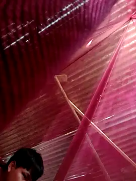 Snapshot of Huebolocko chatting on 10.31.25 Huebolocko online show from 10.31.25