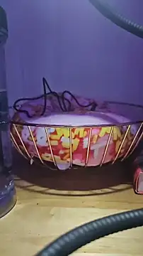 Snapshot of MissyLovexxx chatting on 12.05.24 MissyLovexxx online show from 12.05.24