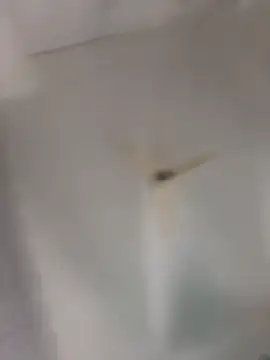 playboy 30 online show from 11.16.25