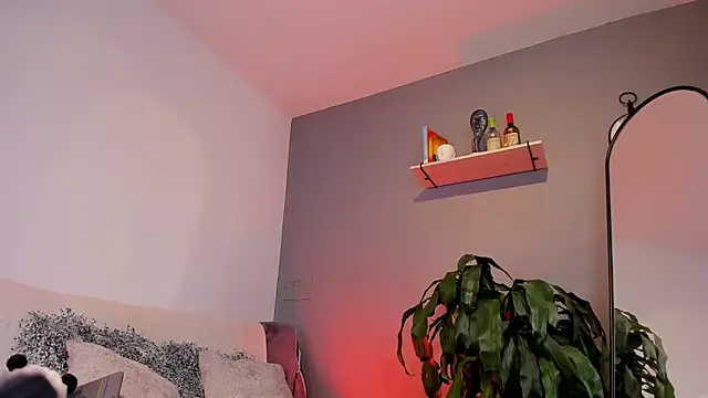 jaxon colton online show from 01.27.25