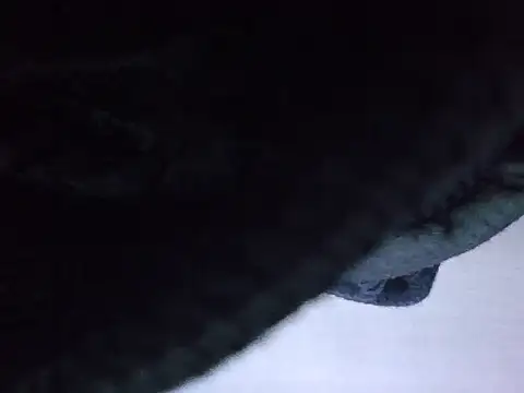 exmilitary online show from 02.15.26