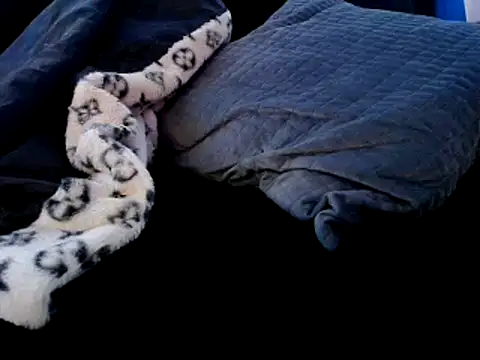 Niquitasparkles online show from 12.22.24