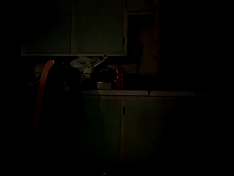 Frankdick01 online show from 10.04.25