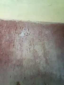 riteshika online show from 04.23.26