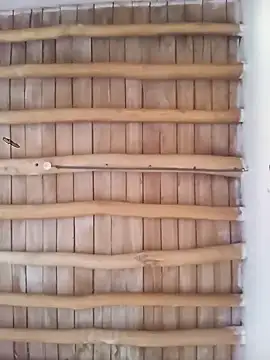 Atabey 65 online show from 12.03.25