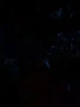 janberlin online show from 06.19.26