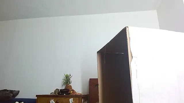 Snapshot of Party_trans chatting on 12.14.24 Party trans online show from 12.14.24