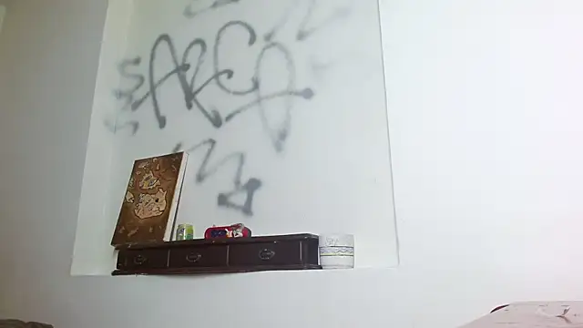 Snapshot of Party_trans chatting on 12.16.24 Party trans online show from 12.16.24