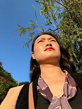 Lfeiji online show from 11.26.25