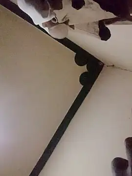 Snapshot of Danny_lady chatting on 12.16.25 Danny lady online show from 12.16.25