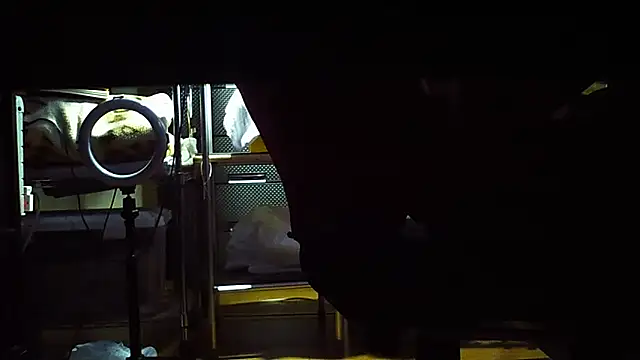 qoooqing67 online show from 12.15.24