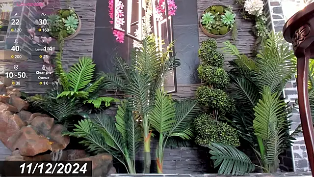 Eva Coluccy online show from 12.12.24