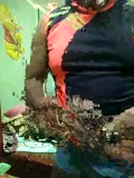 ShelfyOfferer online show from 01.31.26