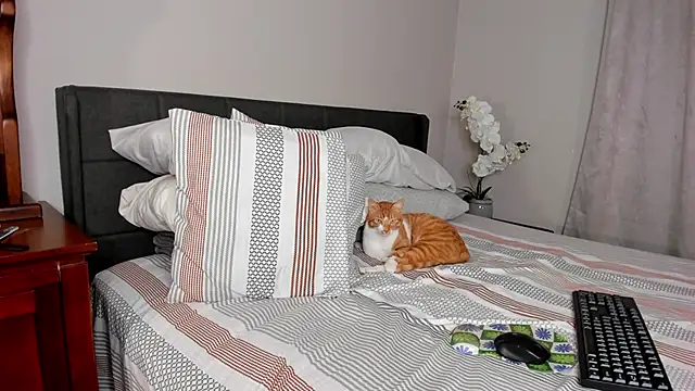 Angel 1997 online show from 02.18.25