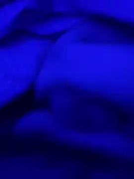 feuerfick online show from 01.28.25