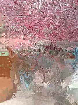 wajdi-wa7ch online show from 07.29.26