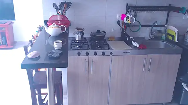 Snapshot of meridandwither chatting on 01.31.25 meridandwither online show from 01.31.25