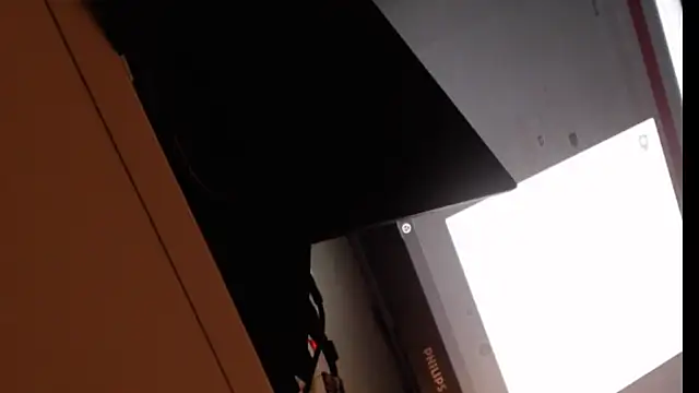 SisDamFem online show from 03.14.25