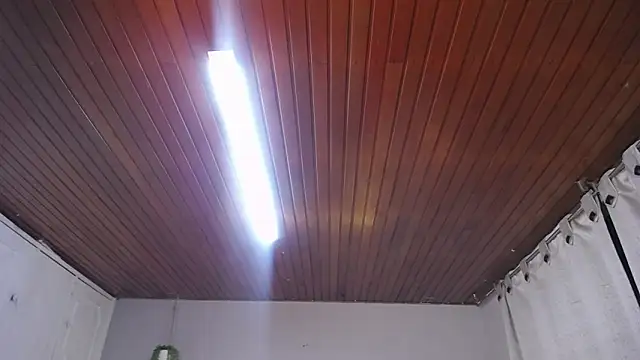 Snapshot of Scarllett_BDSM chatting on 11.29.25 Scarllett BDSM online show from 11.29.25