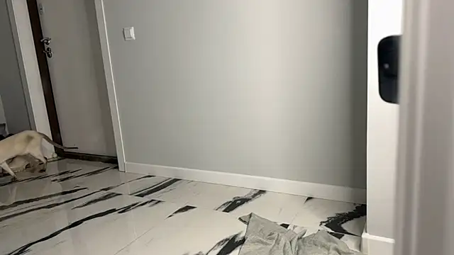 Snapshot of elisa_moon chatting on 12.23.24 elisa moon online show from 12.23.24