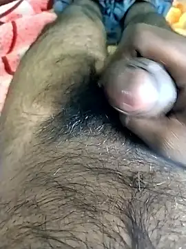 jellydicks online show from 11.09.25