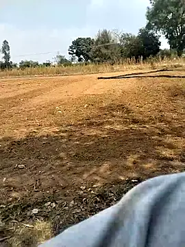 jellydicks online show from 03.22.26