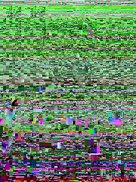 Harii 02 online show from 02.08.25