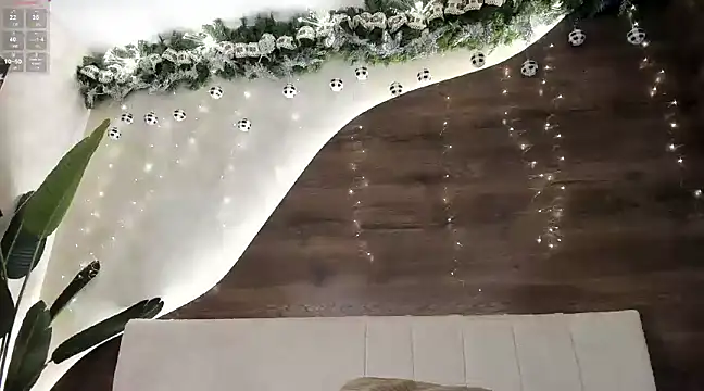 Morgan Hilll  online show from 12.15.24