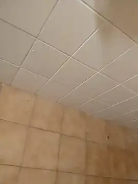 moder066 online show from 12.11.24