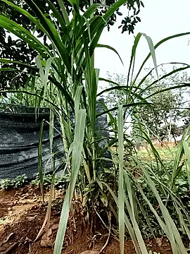 Betty20zx online show from 09.13.25