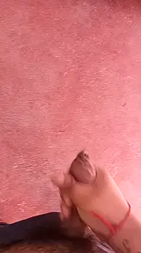 pedritolobito online show from 01.15.25