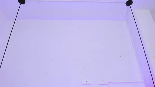 Snapshot of Zoeth_Ruiz chatting on 01.29.25 Zoeth Ruiz online show from 01.29.25