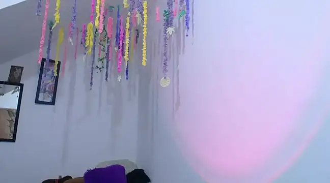 Snapshot of diamonmeli chatting on 01.30.25 diamonmeli online show from 01.30.25