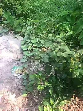 GapingConker online show from 11.09.25