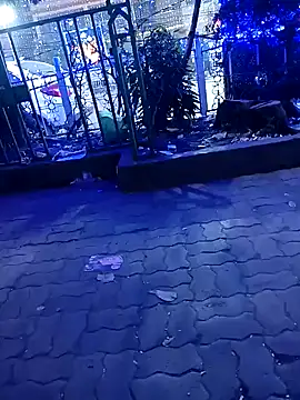 Snapshot of riyajfuckboy chatting on 12.25.24 riyajfuckboy online show from 12.25.24