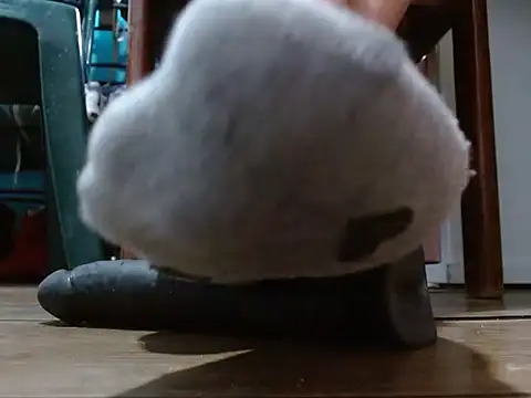 sammy goddess online show from 02.08.26