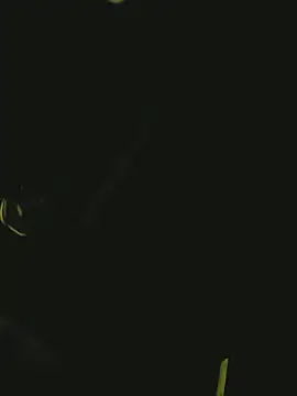 Pressure69mee online show from 03.02.25