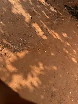 Black mamba madingo online show from 03.21.26