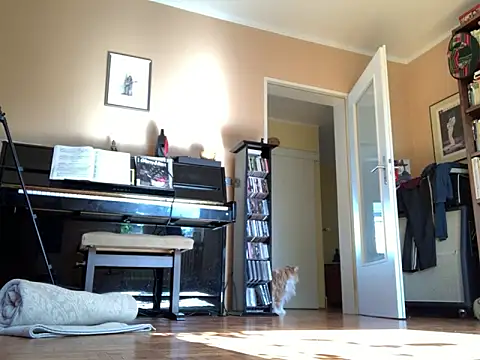 Bula94193 online show from 09.24.25