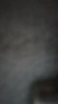 Snapshot of axelongshaft69 chatting on 02.25.25 axelongshaft69 online show from 02.25.25