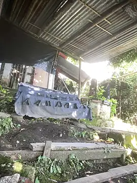 Jestebanano online show from 04.12.26